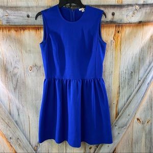 EUC Gap Sleeveless Fit & Flare Zip Up Back Woven Fabric Dress Royal Blue